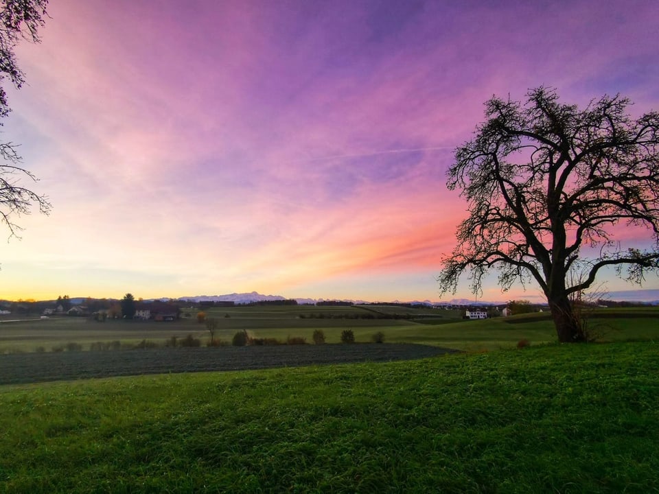 Buchackern/TG Morgenrot