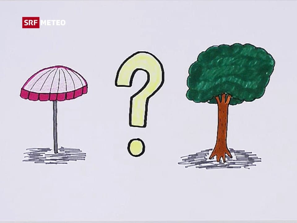 Sonnenschirm oder Baum, was soll gewählt werden.