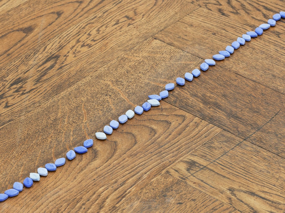 Ein Holzboden mit einer Reihe von blauen Pillen.