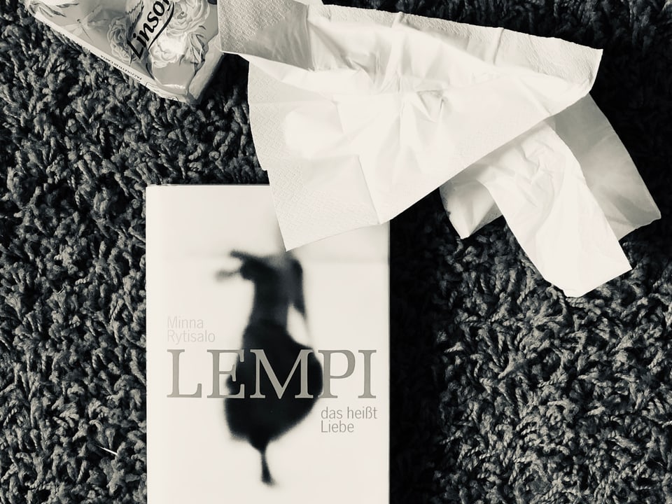 Der Roman von Minna Rytisalo: «Lempi das heisst Liebe» liegt auf einem Teppich