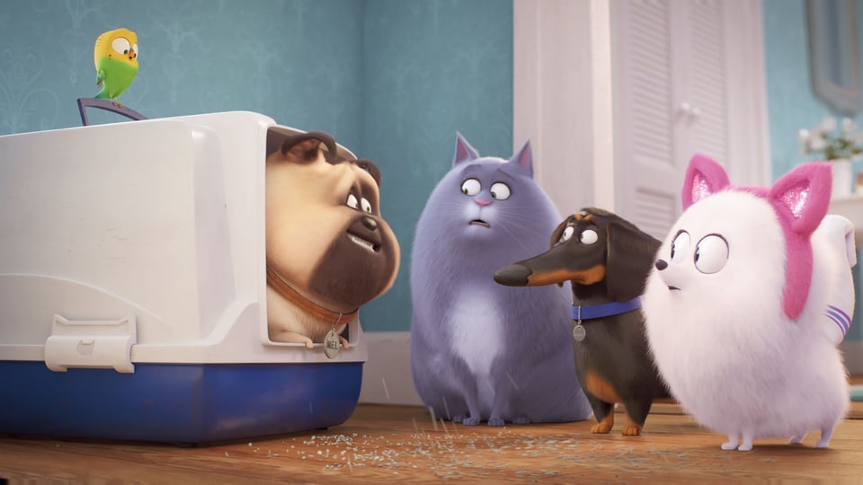 Szene aus einem Animationsfilm: Ein Mops schaut kauen aus einem Katzenklo. Eine Katze, ein Spitz, ein Wellensittich und ein Dackel schauen ihn angeekelt an.