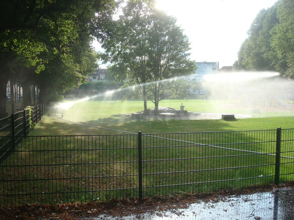 Rasensprenger in einem Park. Der Wasserstrahl ist in Richtung eines Baumes ausgerichtet.