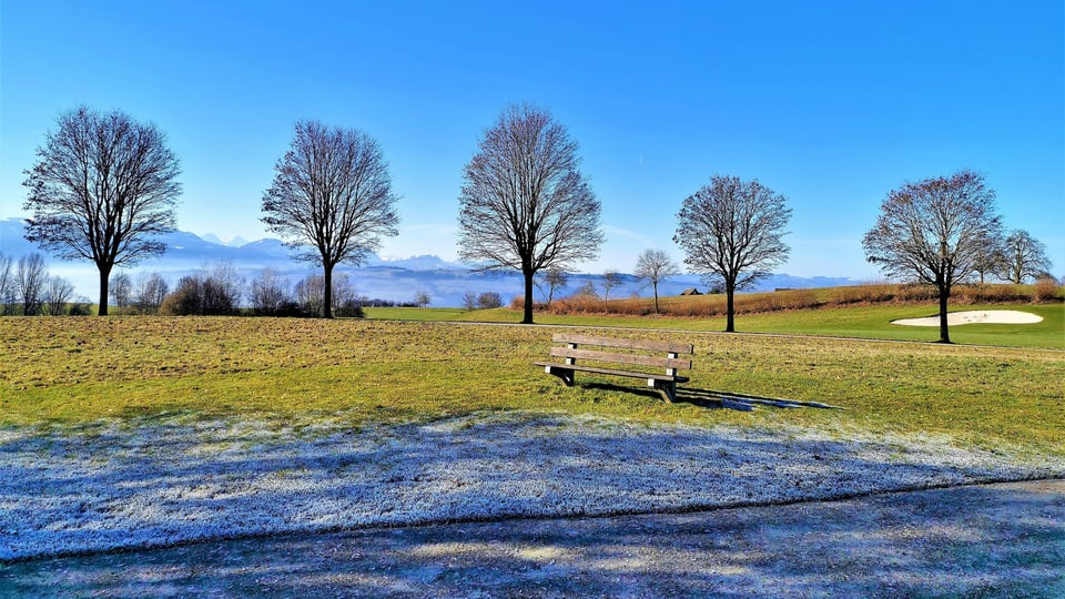 Frost Wiese mit Reif in Hilidsrieden/LU.