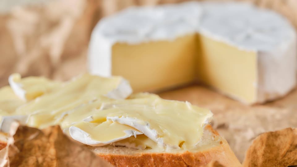 nahaufnahme eines gelben Käses mit weisser Rinde: Camembert, auf einem Brot.