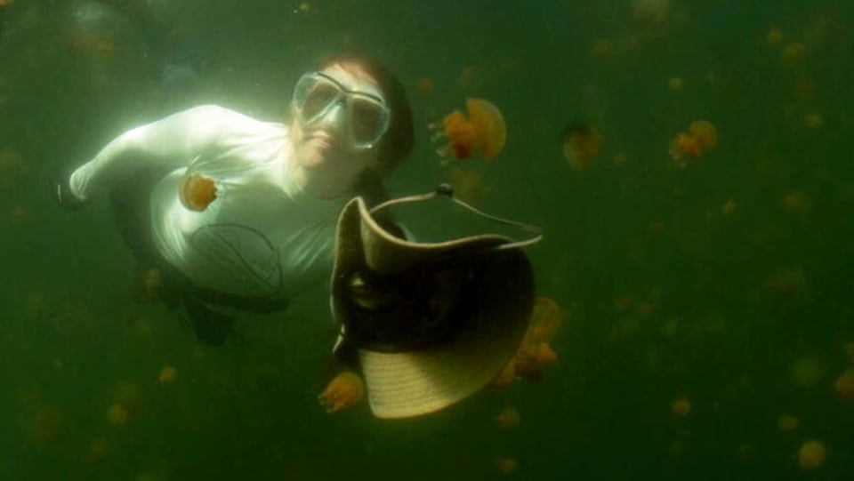 Frau mit Taucherbrille unter Wasser. Davor schwebt ein Hut und Quallen. 