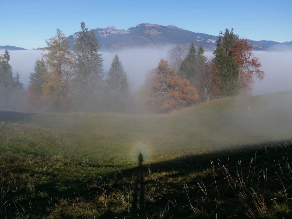 An der Nebelobergrenze auf 1100 Metern war am Mittwoch auch in Aeschiried ein Brockengespenst zu sehen.