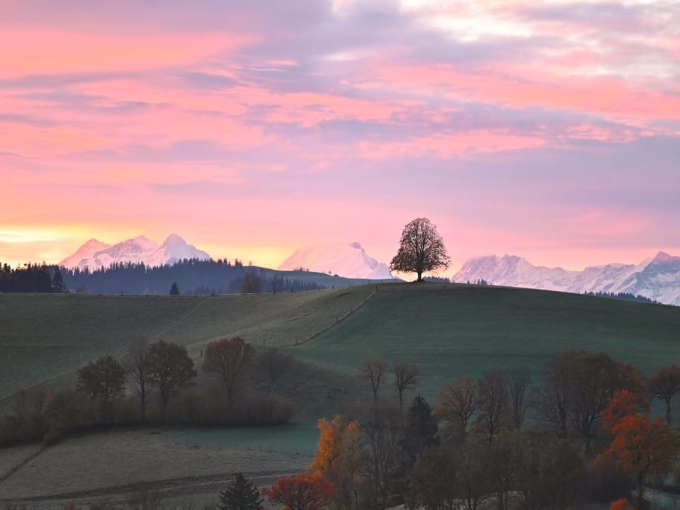 Dürrenroth/BE Morgenstimmung im Emmental
