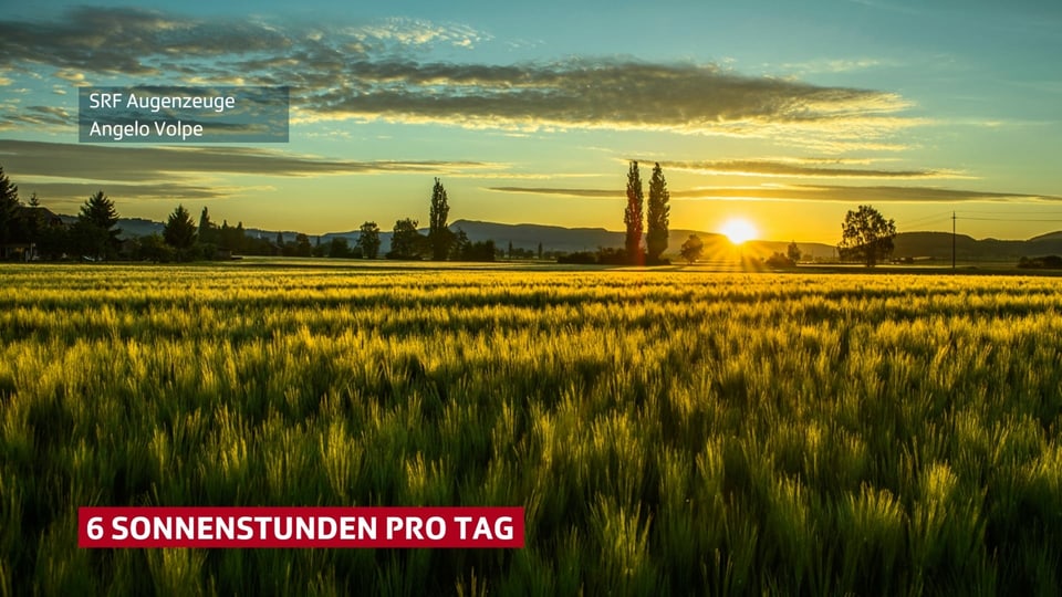 Feld bei Sonnenaufgang mit nur wenigen Wolken am hellblauen bis gelben Himmel