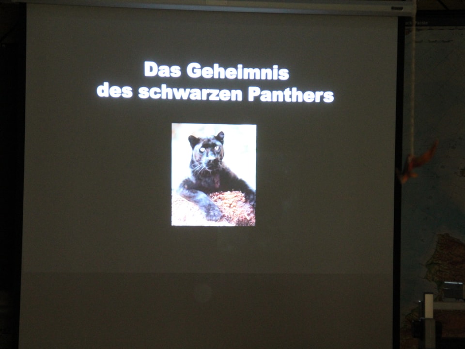 Diashow zur Geschichte «Das Geheimnis des schwarzen Panthers».