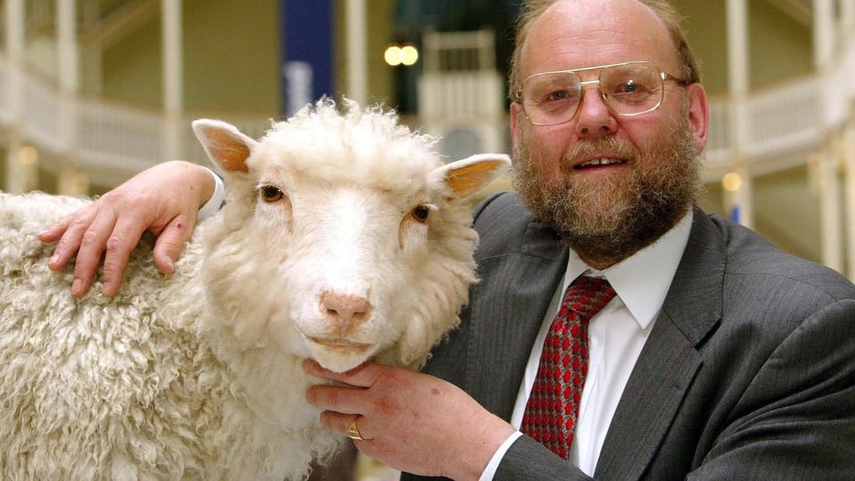 Professor Ian Wilmut mit Dolly, dem weltweit ersten geklonten Schaf im Museum in Edinborough.