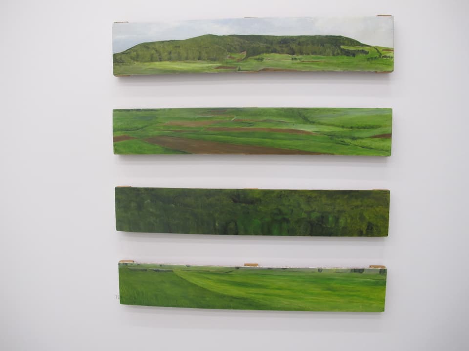 Vier Bilder mit grüner Landschaft übereinander.