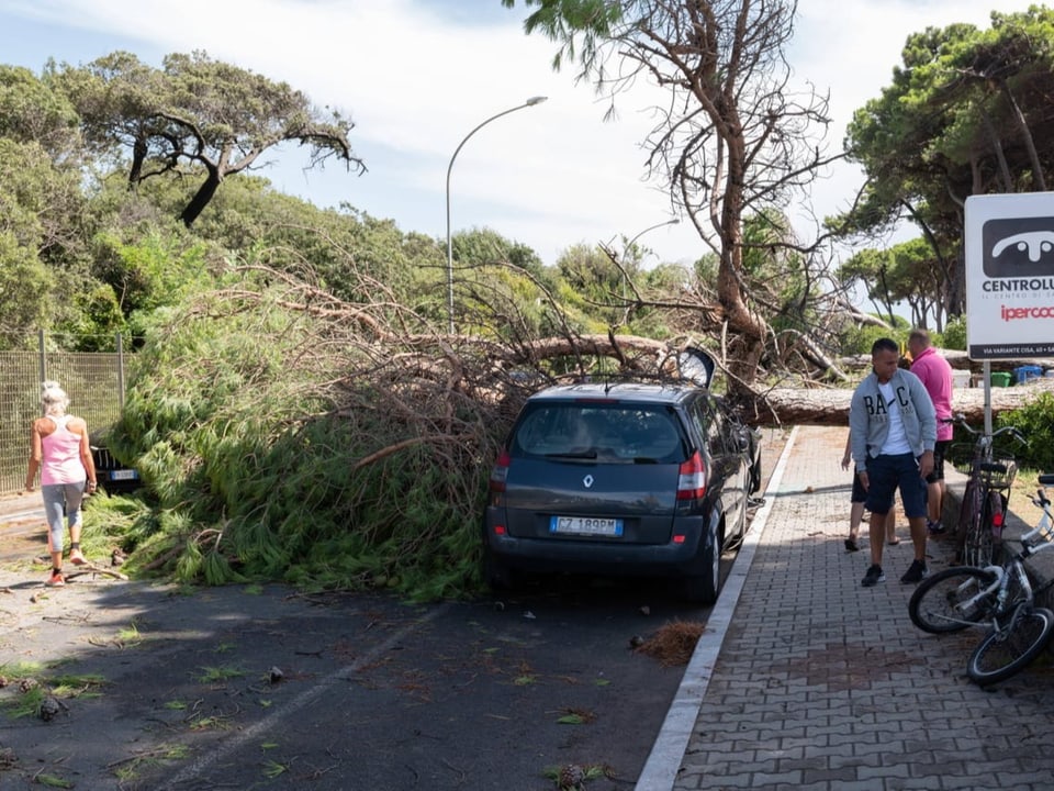 A fallen tree lies on top of a car.  Passers-by run near it.