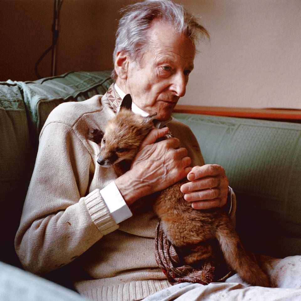 Der Künstler Lucian Freud auf dem Sofa mit einem jungen Fuchs.