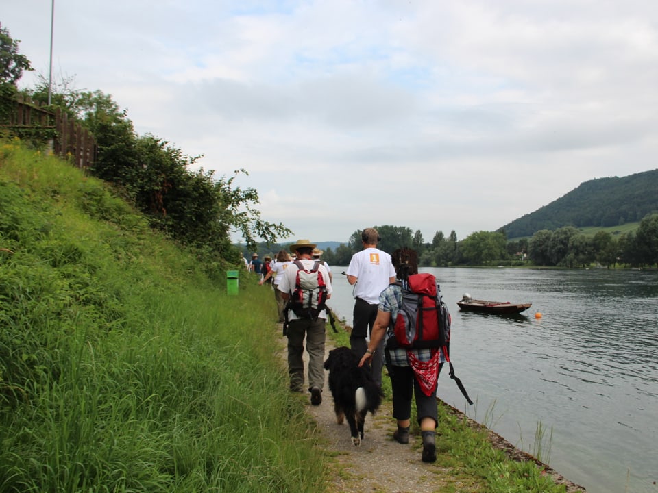 Die Wandergruppe geht auf einem Naturweg am Ufer des Rheins. 