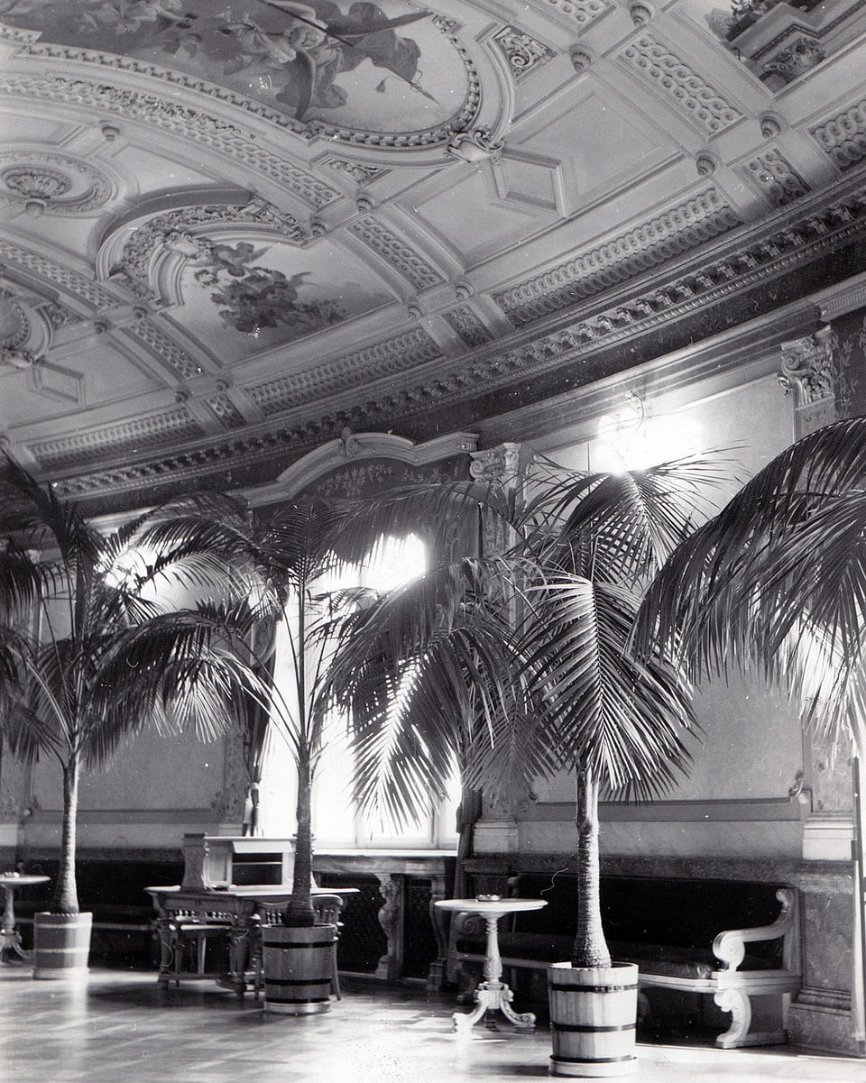 Schwarz-Weiss-Foto: Palmen in der Wandelhalle. 