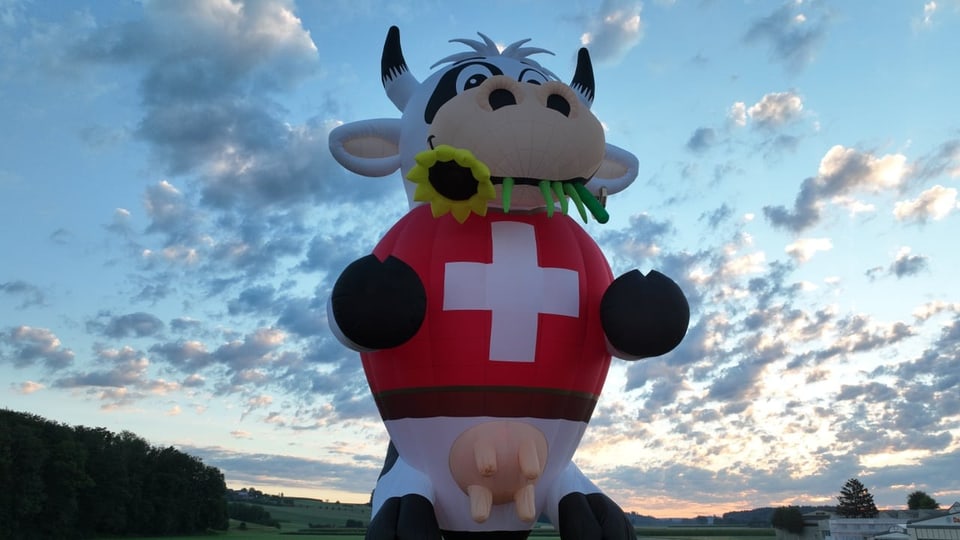 Kuh-Ballon bei leicht bewölktem Himmel.