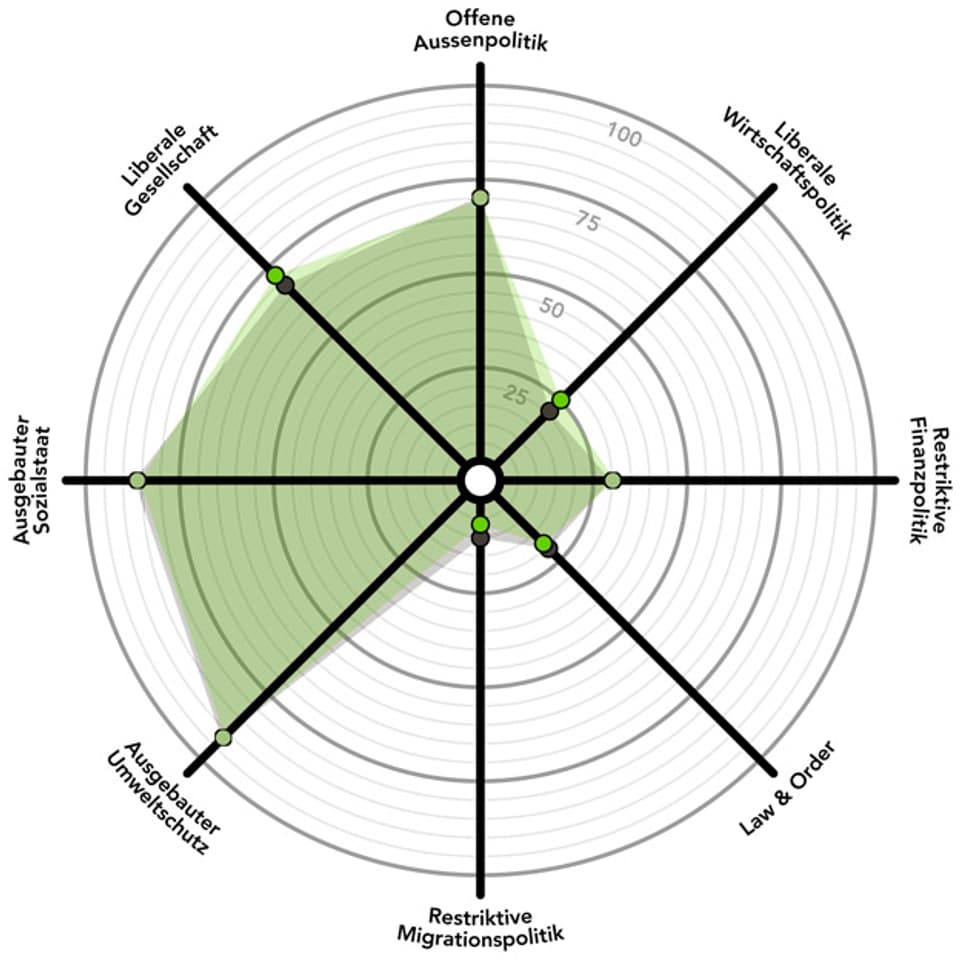 Das politische Profil der Grünen in einem Spinnendiagramm.