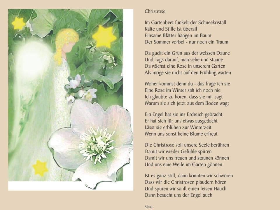 Ein Gedicht neben einem gemalten Bild von einer Christrose.
