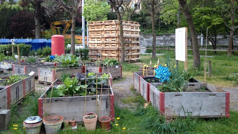 SBB-Kisten als Gartenbeet SBB-Kisten als Gartenbeet