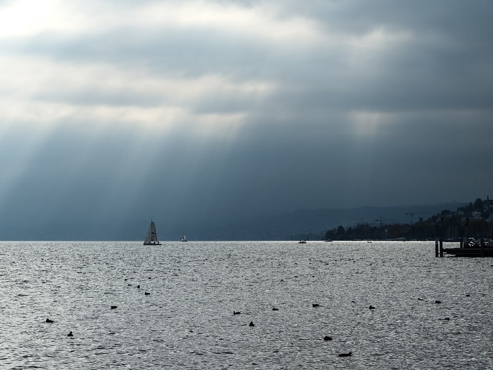 Zürichsee mit Nebel, Sonne und und einem Segelschiff auf dem See.
