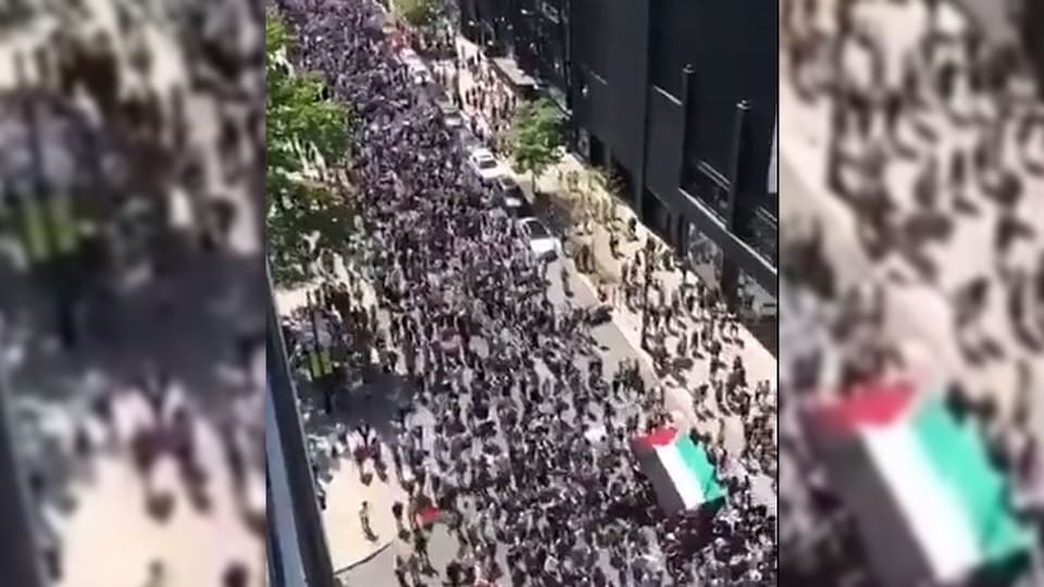 Menschenmasse auf einer grossen Strasse, jemand hält eine grosse palästinensische Flagge.