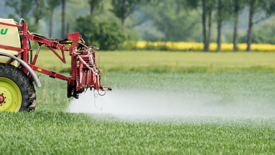 Etwas wird auf einem feld versprüht