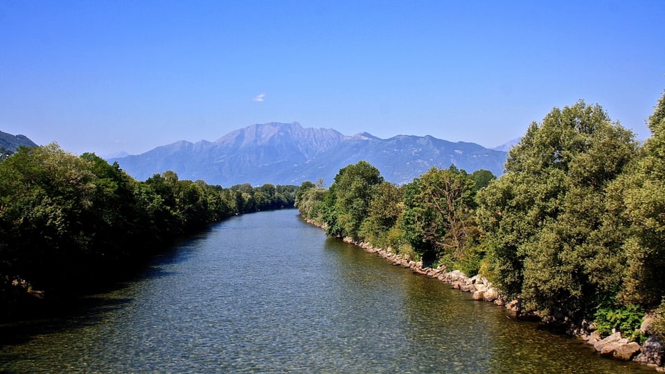 Blick auf den Ticino in der Magadinoebene.