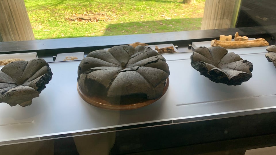 Ein Brot, das beim Vulkanausbruch verkohlte und so erhalten blieb.