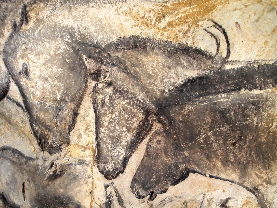 Detailierte Ansicht dreier Pferdeköpfe, die Skizzen sind schwarz, der Hintergrund braun.
