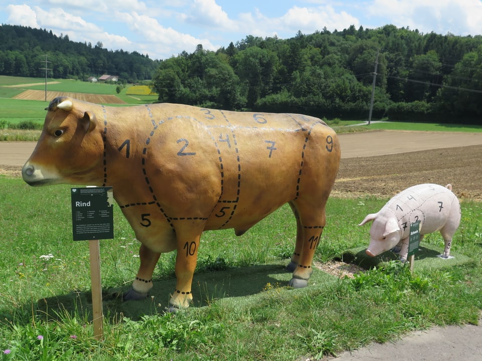 Rind und Schwein aus Kunststoff.