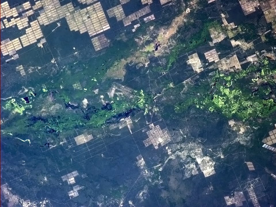 Blick aus dem Orbit auf ein Flutgebiet in Paraguay.