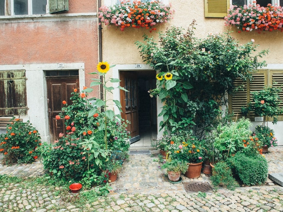 «Es heisst immer, die Altstadt sei tot, dabei lebt sie!» Garten