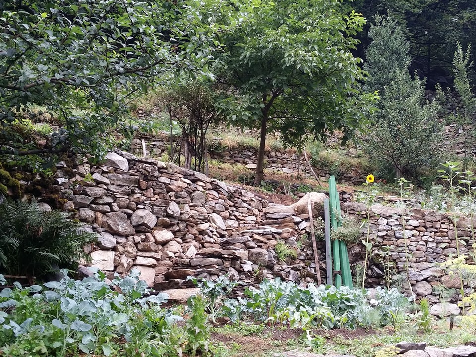 Eine Steintreppe führt auf eine Art Terasse im Garten des Ökodorfs.