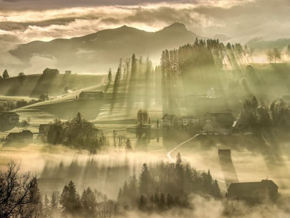 Blick auf Landschaft im Morgenlicht mit Nebelschwaden und Konturen von Wäldern und Hügeln.