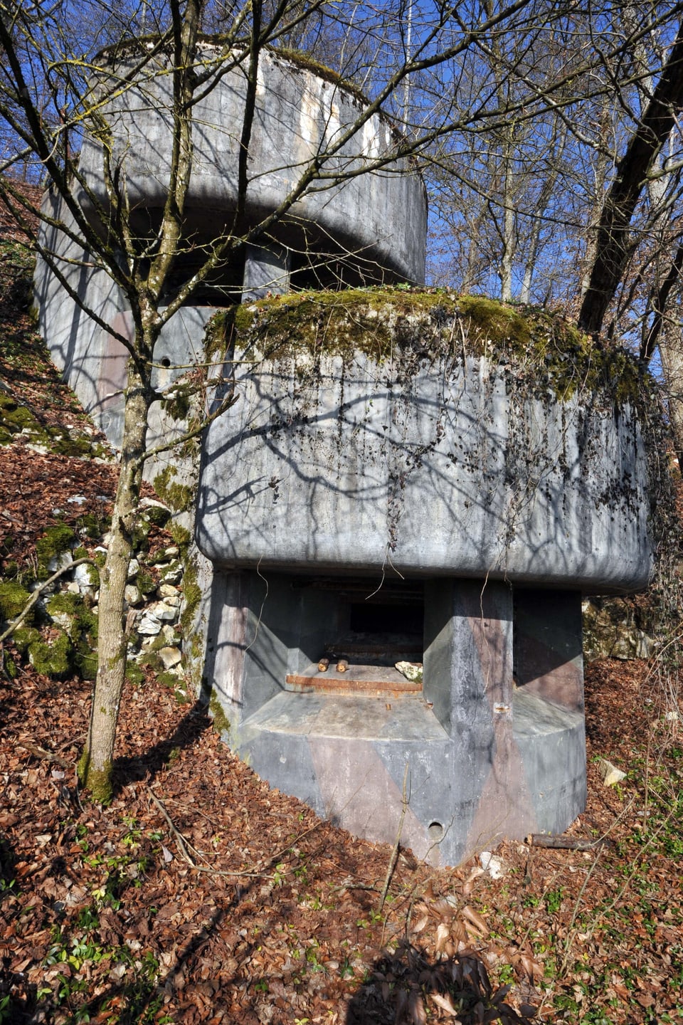 Ein Bunker steht im Wald