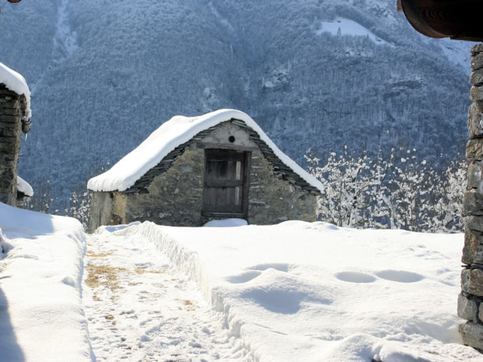 Tessiner Steinhaus mit Schnee bedeckt.