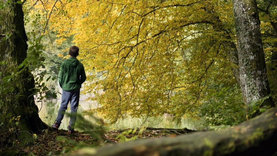 Kind im herbstlichen Wald