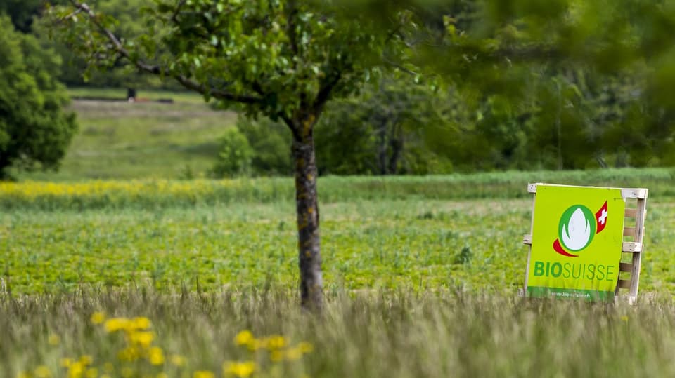 Ein Bio-Suisse-Schild steht auf einem Feld.