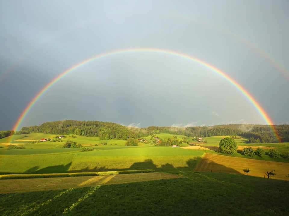 Regenbogen über der grünen Wiese.