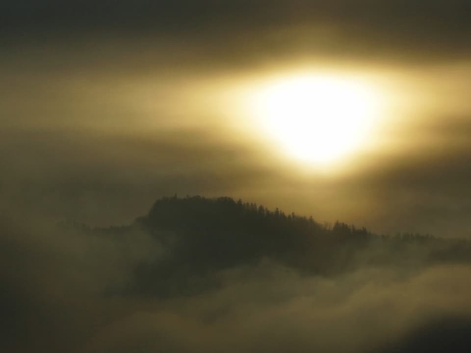 Sonne kämpft gegen den Nebel