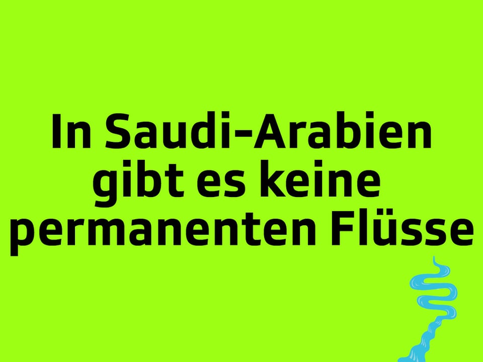Texttafel: In Saudi-Arabien gibt es keine perm