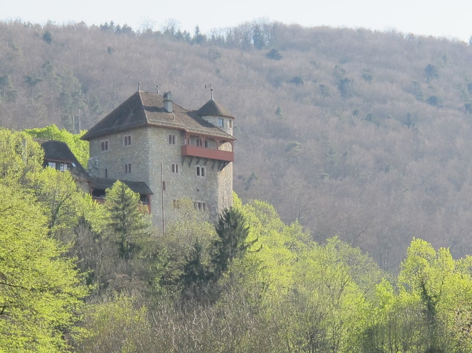 Burg im Wald.