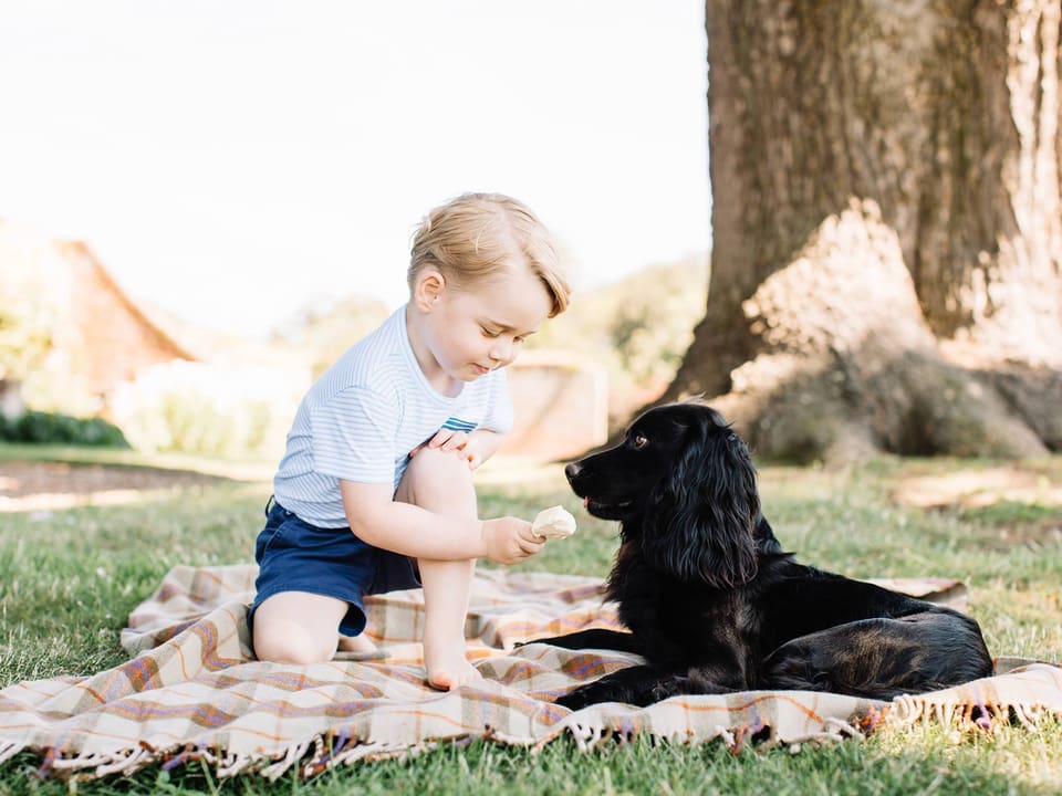 Prinz George mit Familien Hund Lupo im Garten. 