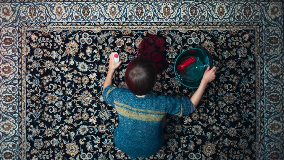 Foto von oben, ein Junge kniet auf gemustertem Teppich, vor ihm roter Fleck, hält Eimer und Putzmittel.