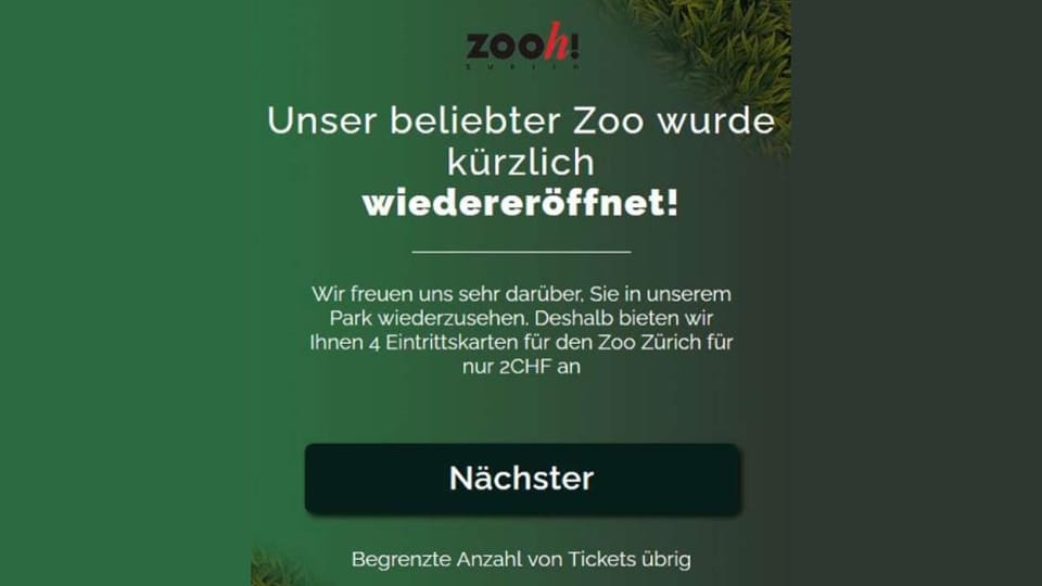 Screenshot gefälschte Seite Zoo Zürich