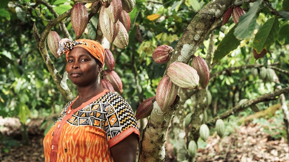 Frau vor Kakaobaum in Elfenbeinküste.
