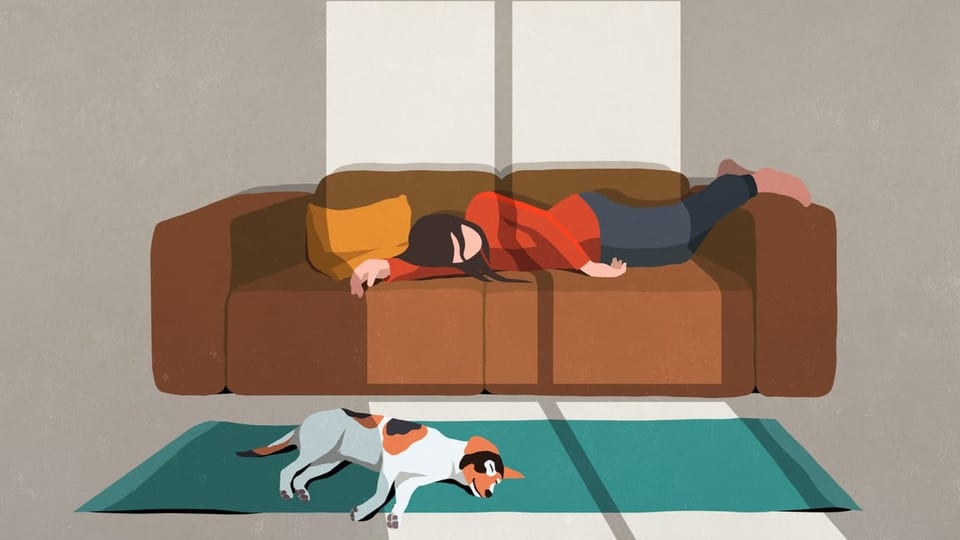 ein junges Mädchen liegt auf einem Sofa, zusammen mit ihrem Hund