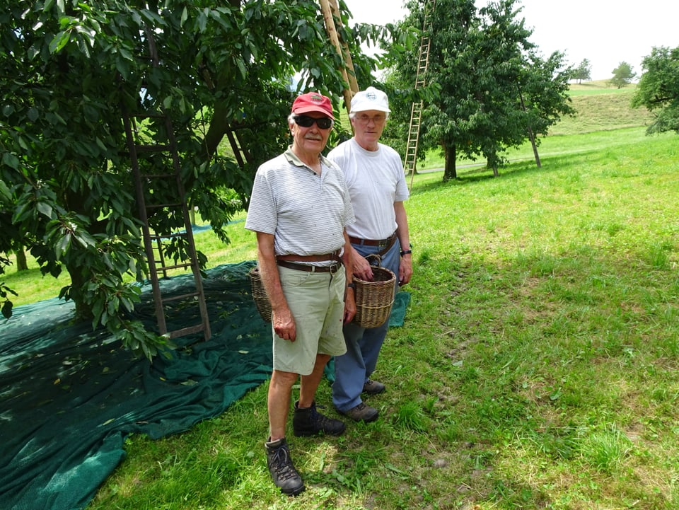 Zwei ältere Männer unter einem Kirschbaum