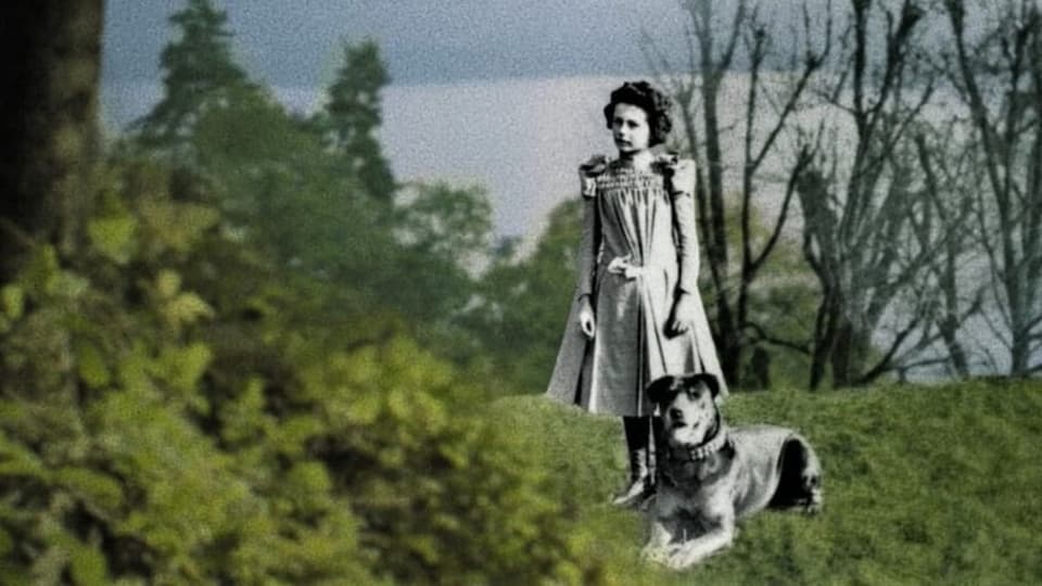 Eine Collage zeigt ein Mädchen und einen Hund auf der Wiese. Im Hintergrund sieht man Berge und einen See.