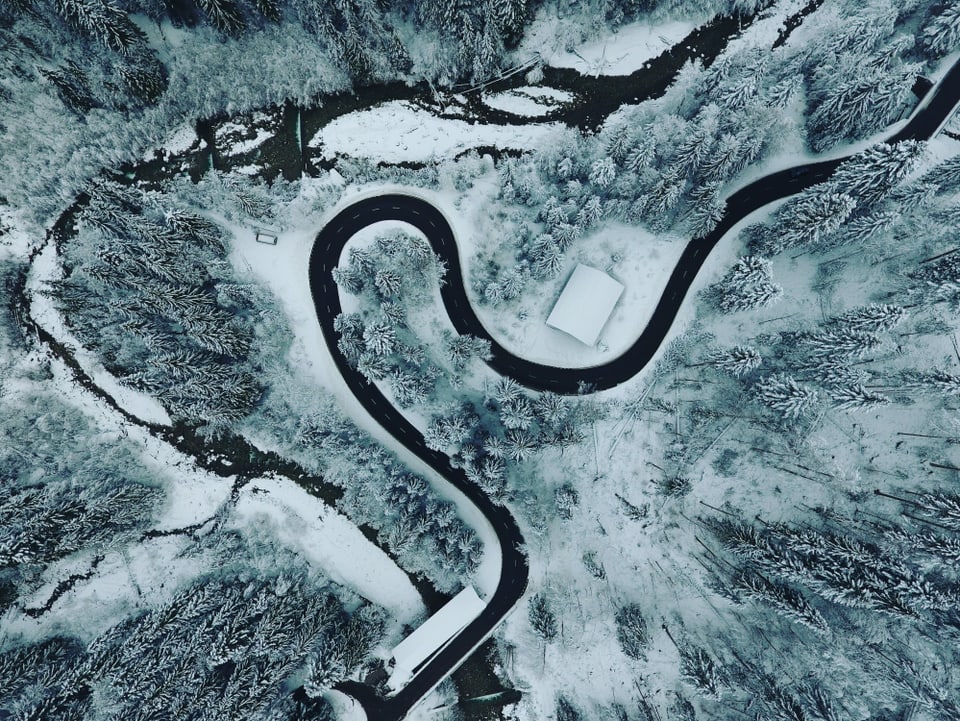 Vogelperspektive auf verschneiten Wald mit schwarzer Strasse und Fluss.